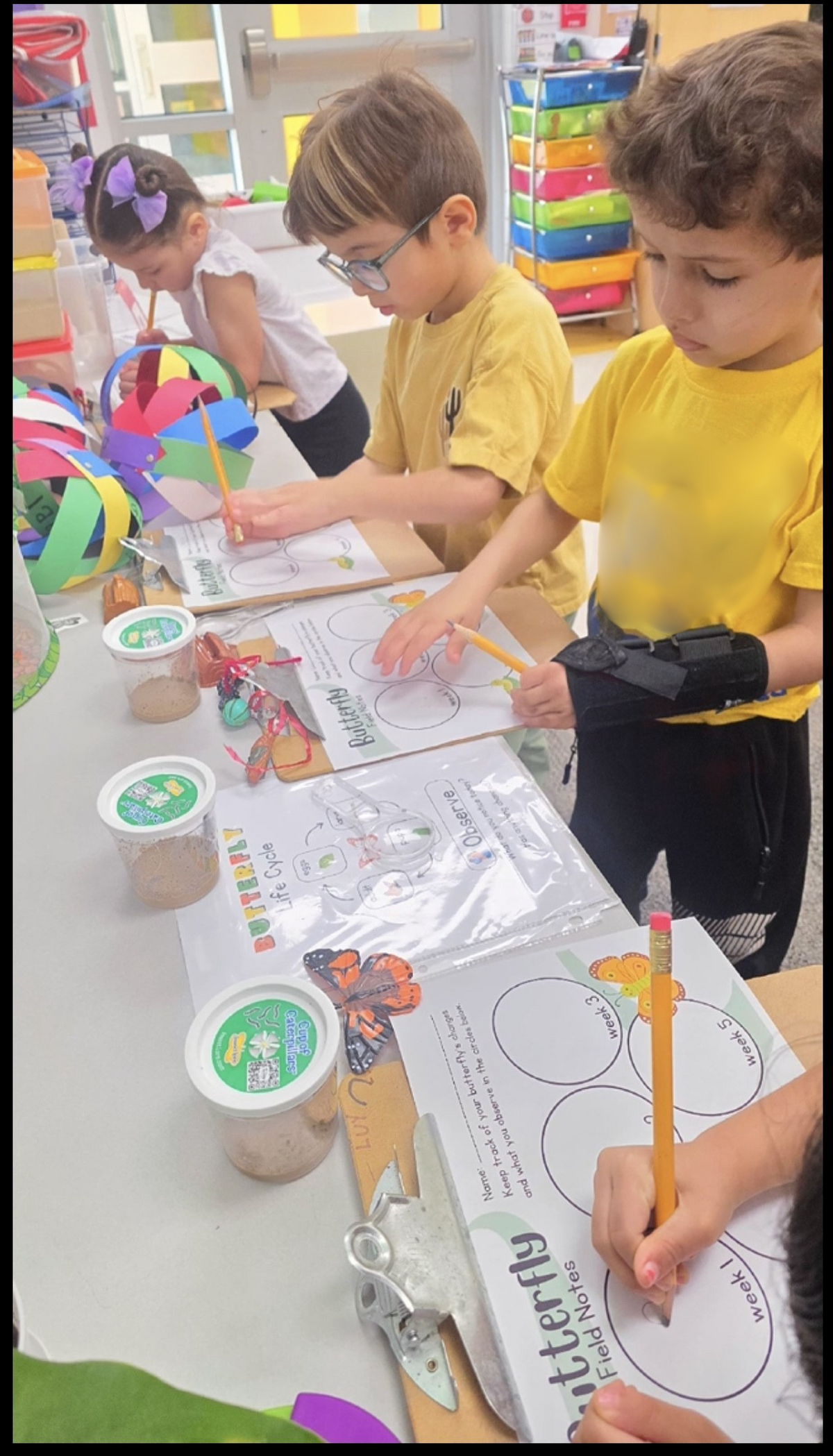 During small-group time, children observe caterpillars and record what they see.
