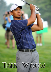 Business News Tiger Woods