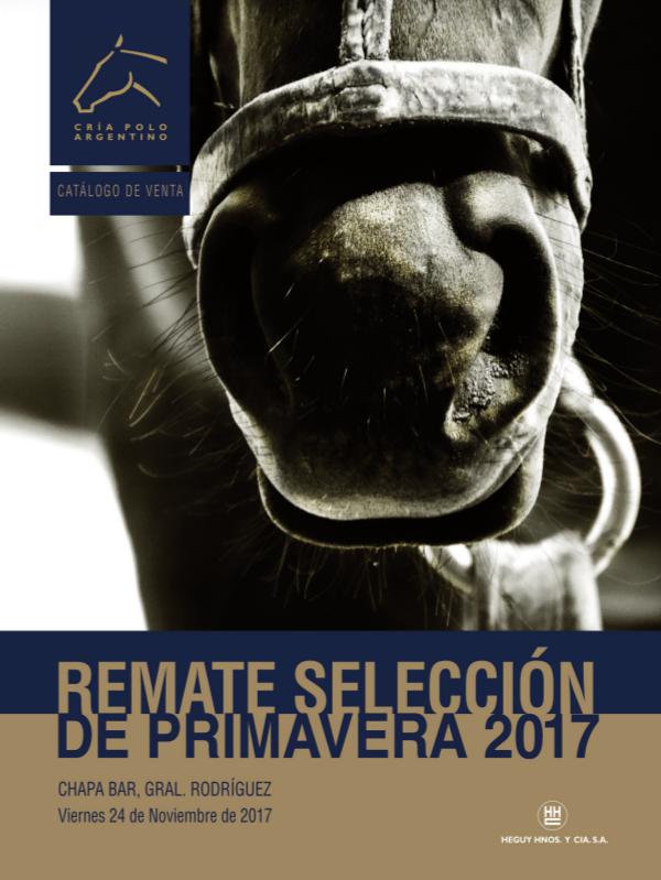 Remate Selección de Primavera 2017 AACCP