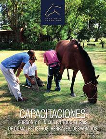 Revista Raza Polo Argentino