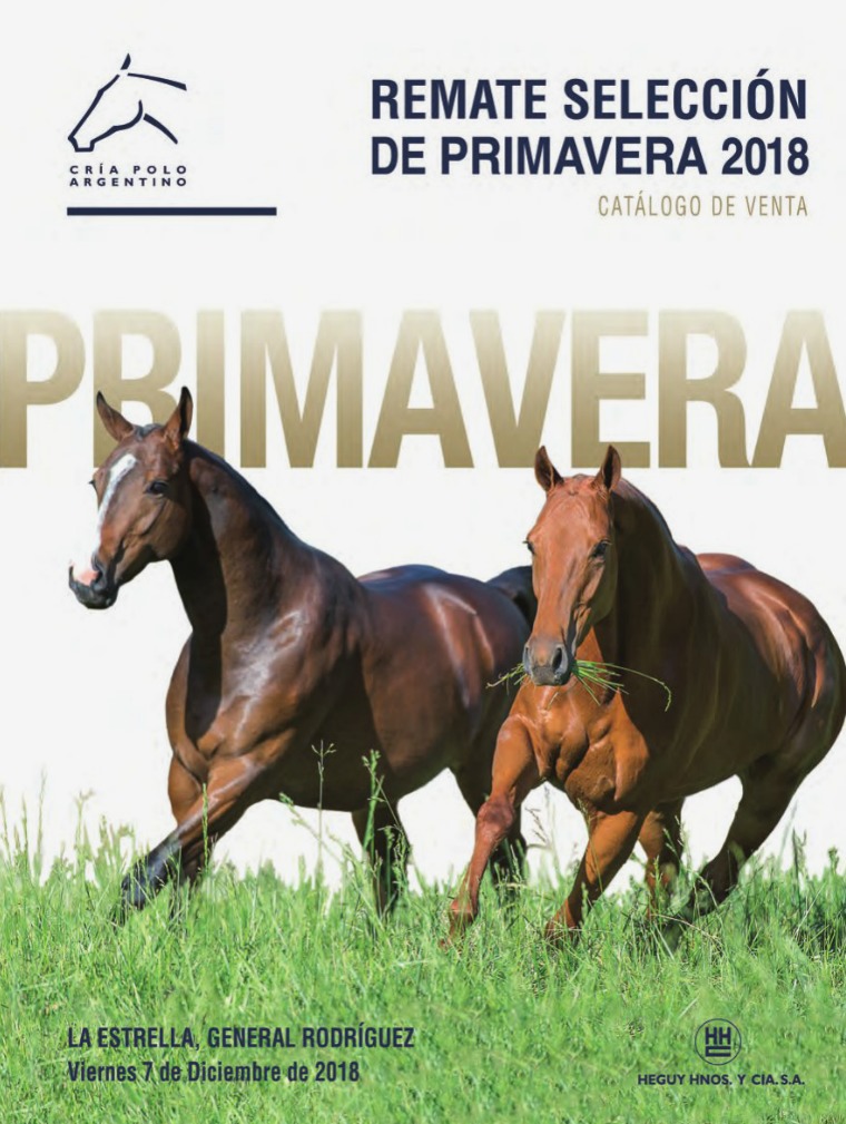 RematePrimavera18