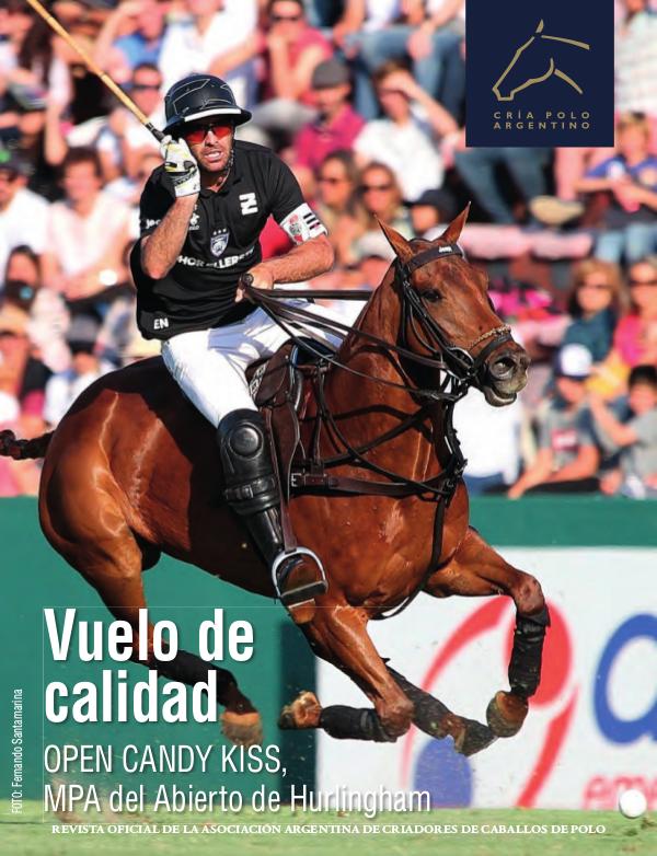 RevistaAACCPNº37