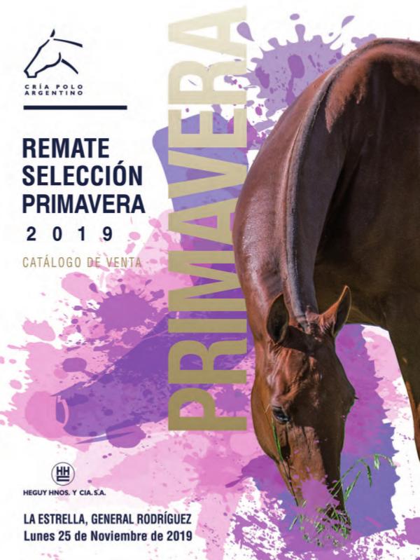 RematePrimaveraAACCP19