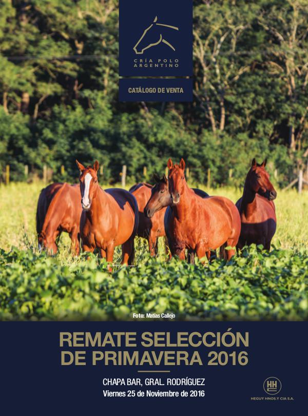 Remate Selección Primavera 2016