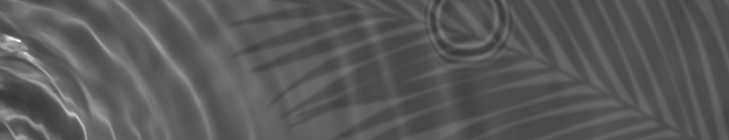 Abstract wavy blue and grey graphic