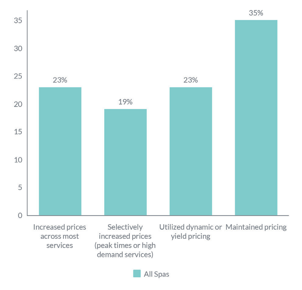 Vertical bar chart titled 'SPA PRICING STRATEGY' showing bars for pricing approaches and percentages