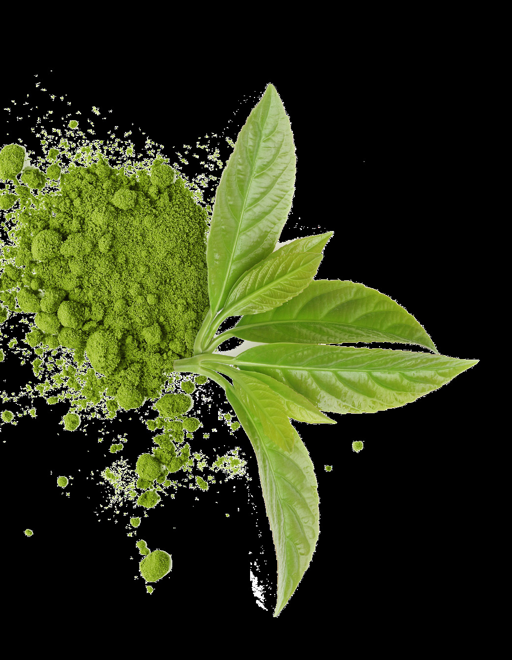 Matcha Purity Mask product and powder still life