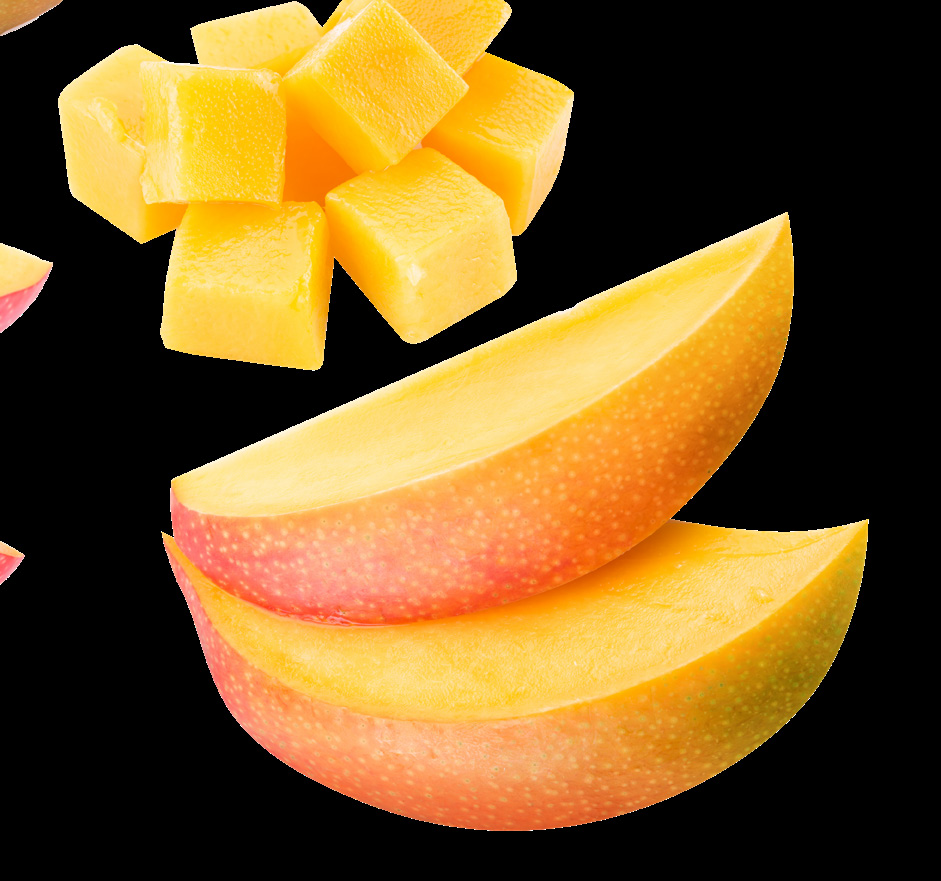 Mango illustration slices