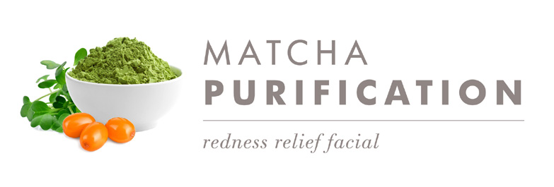 Matcha Purification product icon