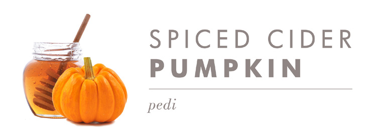 Spiced Cider Pumpkin Icon