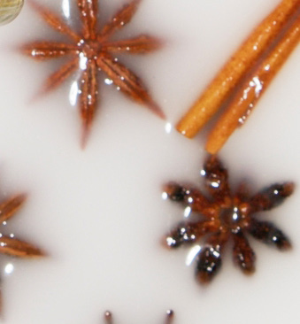 Star anise and cinnamon
