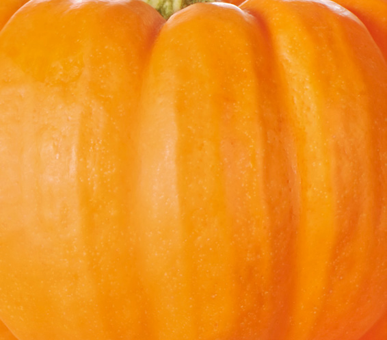 Close-up of an orange pumpkin surface