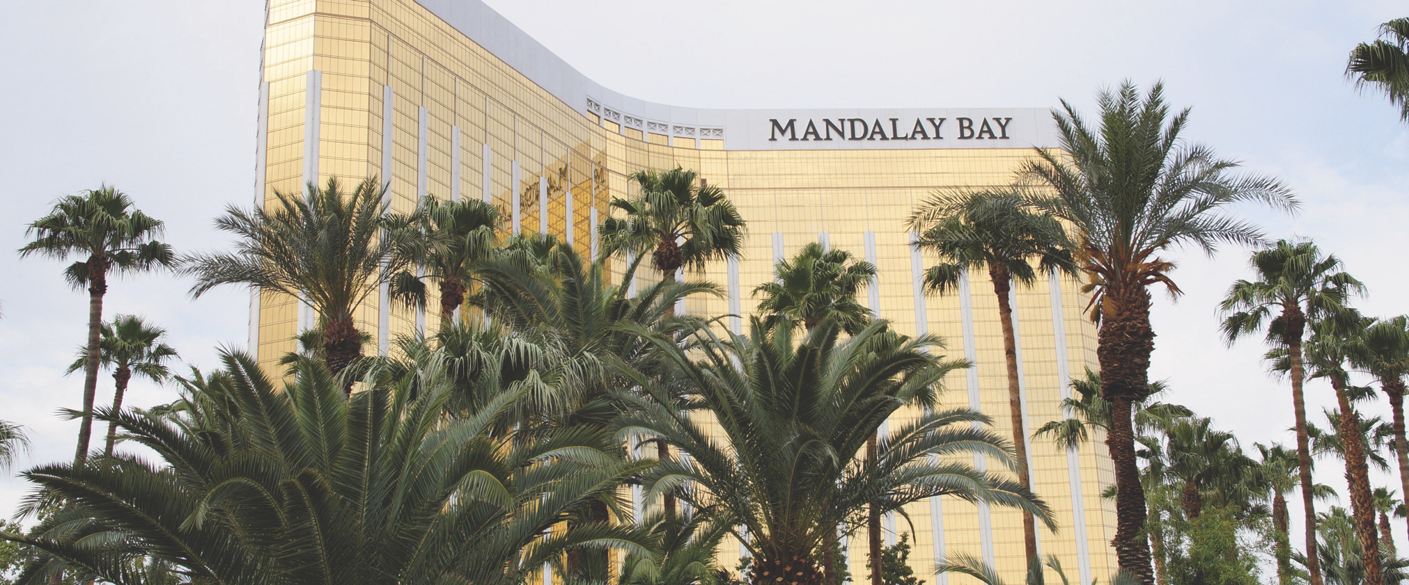 Exterior view of the Mandalay Bay hotel with gold reflective facade and palm trees in front.