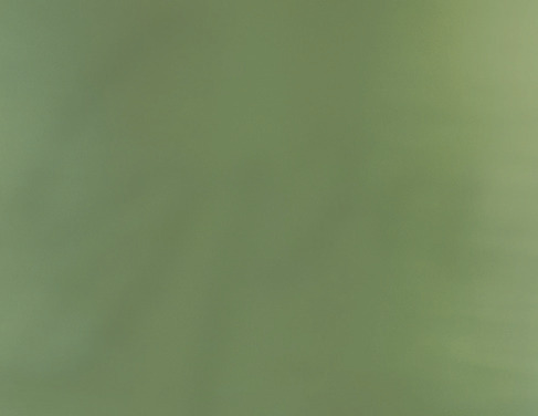 Square muted green textured swatch.
