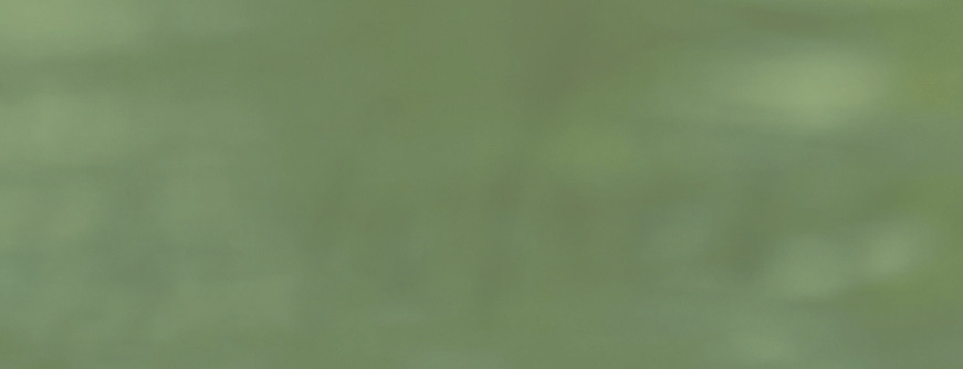 Alternate green texture swatch.