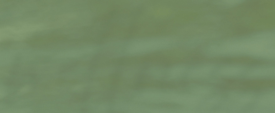 Green texture swatch.