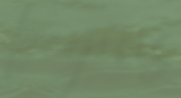 Wide horizontal green textured swatch.