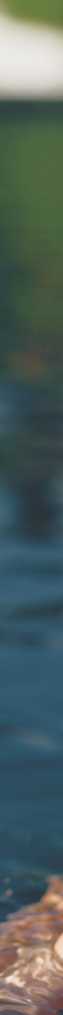 Narrow vertical strip showing pool water detail.