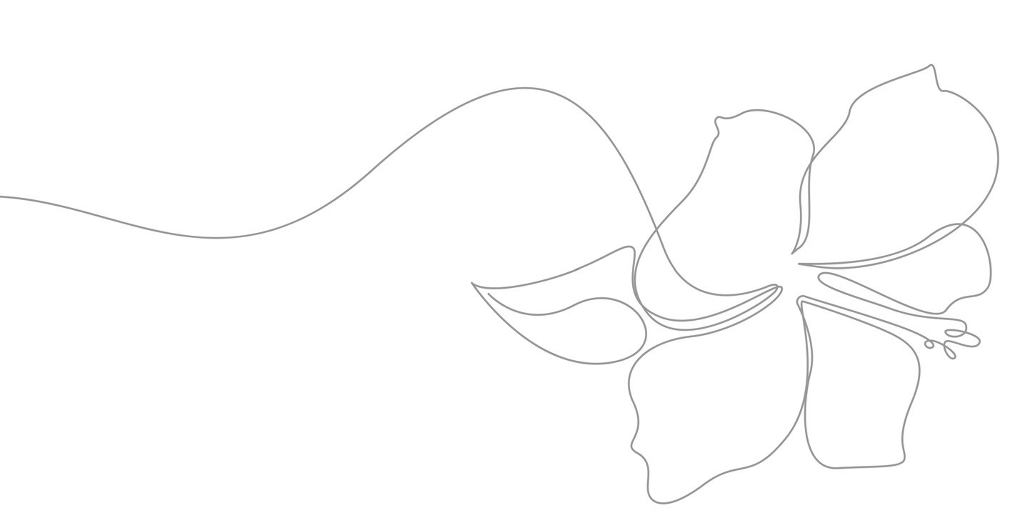 Line-art sketch of a hibiscus flower and decorative flowing line