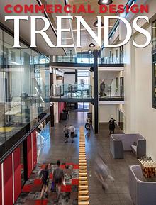 New Zealand Commercial Design Trends Series