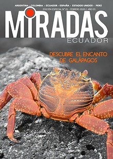 MIRADAS