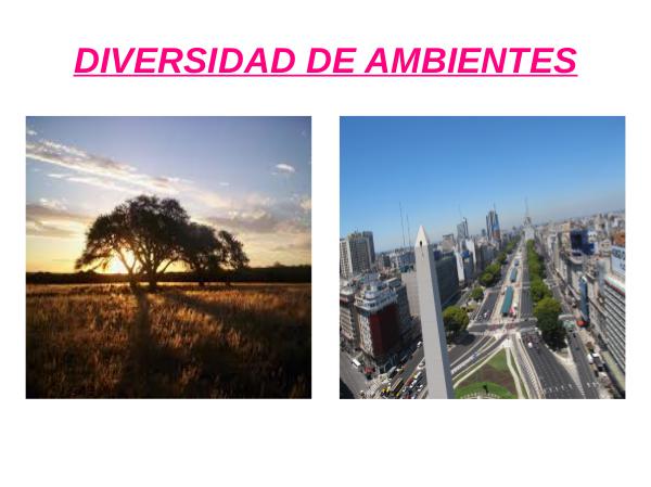 La diversidad ambiental Diversidad ambiental 6 A