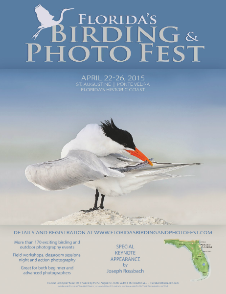 Florida's Birding & Photo Fest official guide 2015