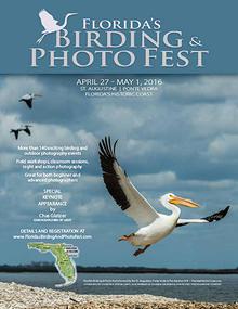 Florida's Birding & Photo Fest official guide