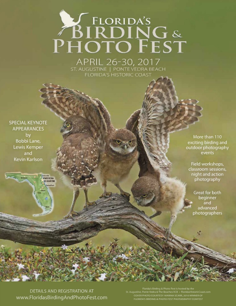 Florida's Birding & Photo Fest official guide 2017