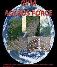 Gym Aceros Force