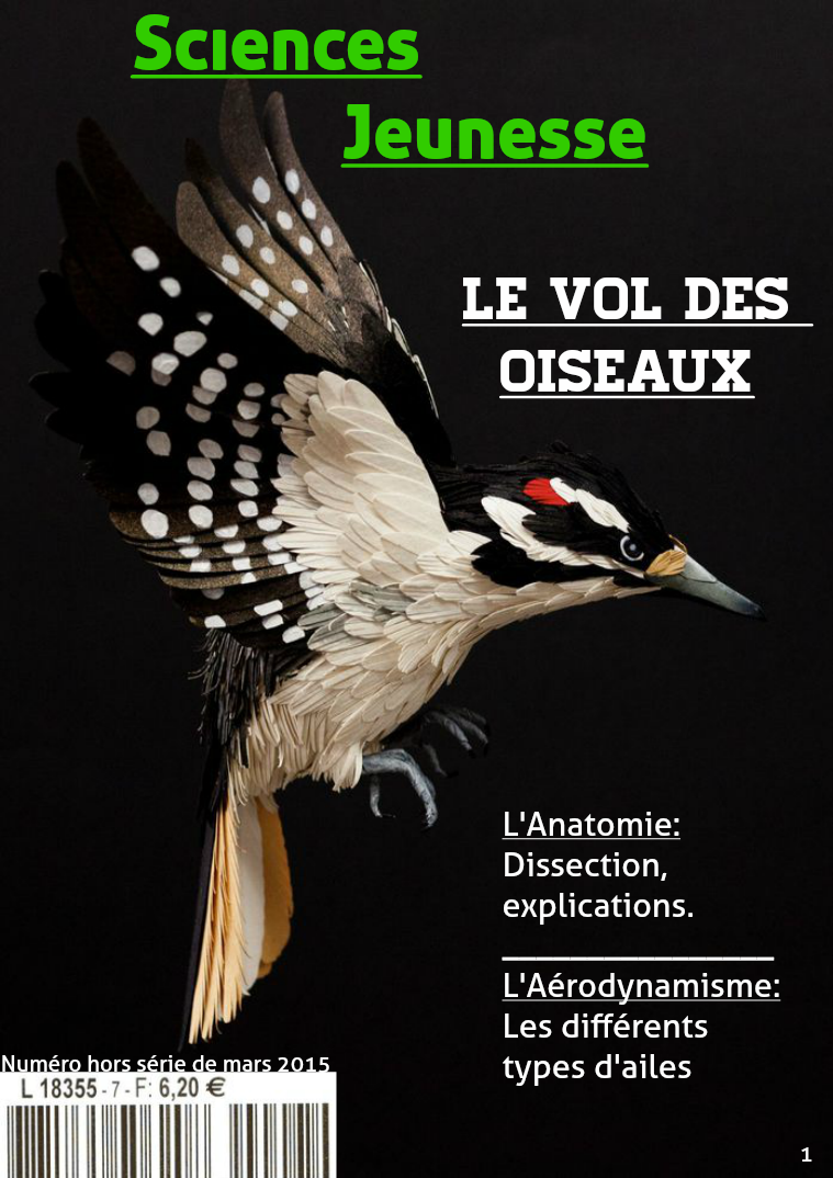 TPE le vol des oiseaux Mars 2015