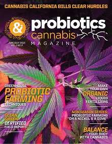 Probiotics & Cannabis Magazine