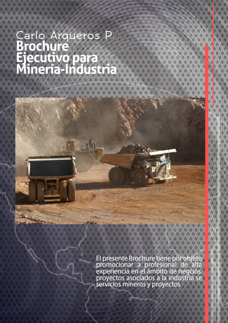 Ejecutivo para Headhunters #1