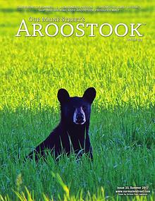 Our Maine Street's Aroostook