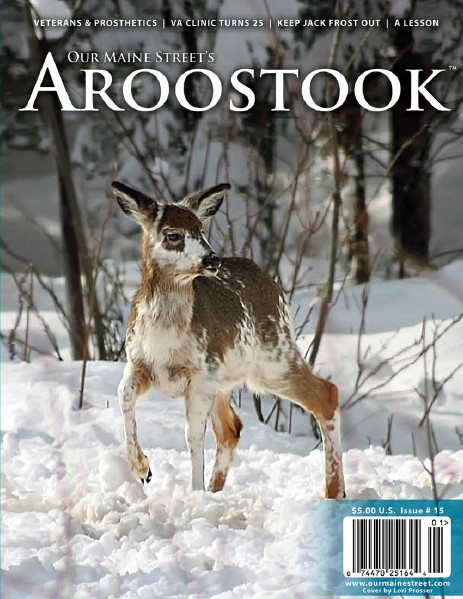 Our Maine Street's Aroostook Issue 15 : Winter 2013