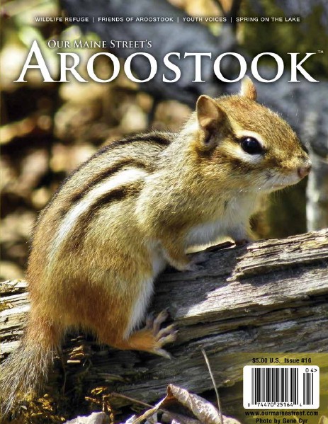 Our Maine Street's Aroostook Issue 16 : Spring 2013