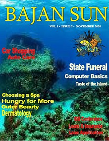 Bajan Sun Magazine - Caribbean Entrepreneurs