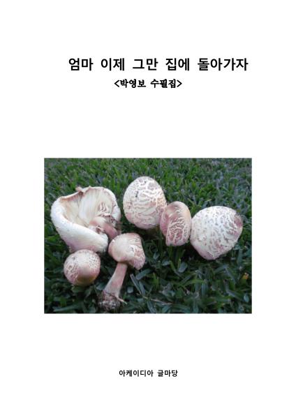 엄마 이제 그만 집에 돌아가자 [박영보 수필3집] 엄마 이제 그만 집에 돌아가자 [박영보 수필3집]