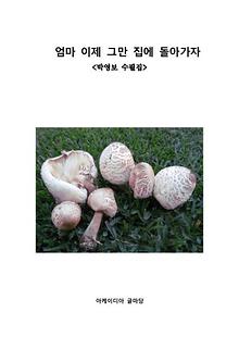 엄마 이제 그만 집에 돌아가자 [박영보 수필3집]