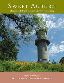 Sweet Auburn: The Magazine of the Friends of Mount Auburn