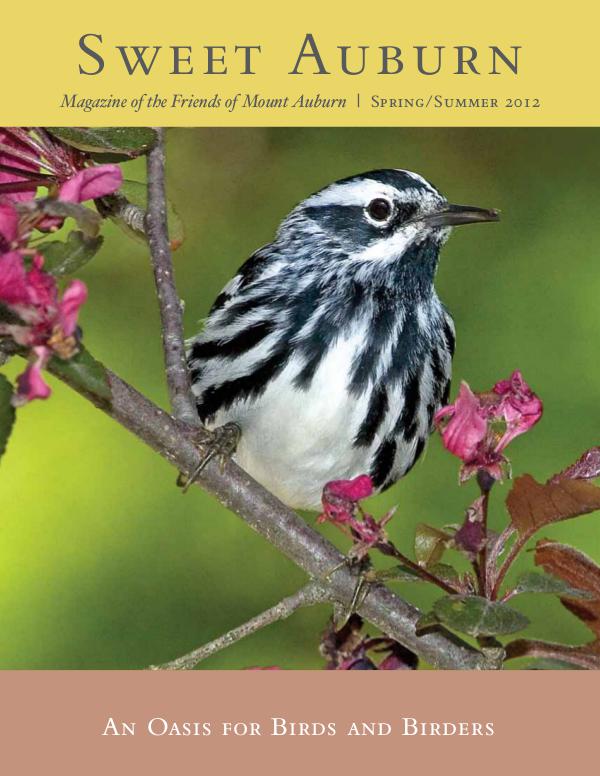 Sweet Auburn: The Magazine of the Friends of Mount Auburn An Oasis for Birds and Birders