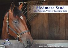 Sledmere Stud - 2017 Inglis Premier Yearling Sale draft