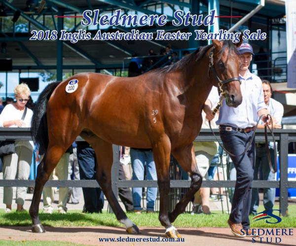 Sledmere Stud - 2018 Inglis Australian Easter Yearling Sale 2018 Sledmere Stud Inglis Australian Easter Bookle