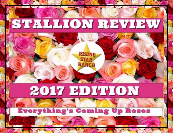 2017 Stallion Review 1