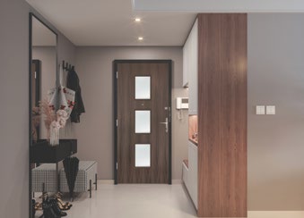 Contemporary flat entrance doorset in a hallway, dark wood door with glazed panels