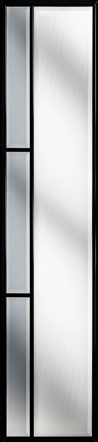 Tall narrow glazed side panel with multiple slim vertical panes in black frame
