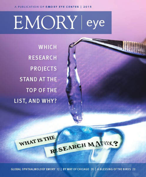 2015 Emory Eye Magazine