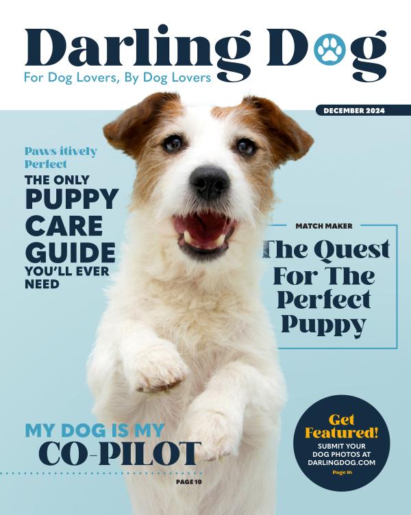 Darling Dog Magazine December 2024