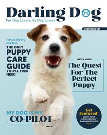 Darling Dog Magazine