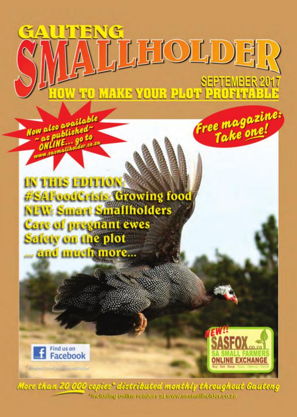 Gauteng Smallholder September 2017